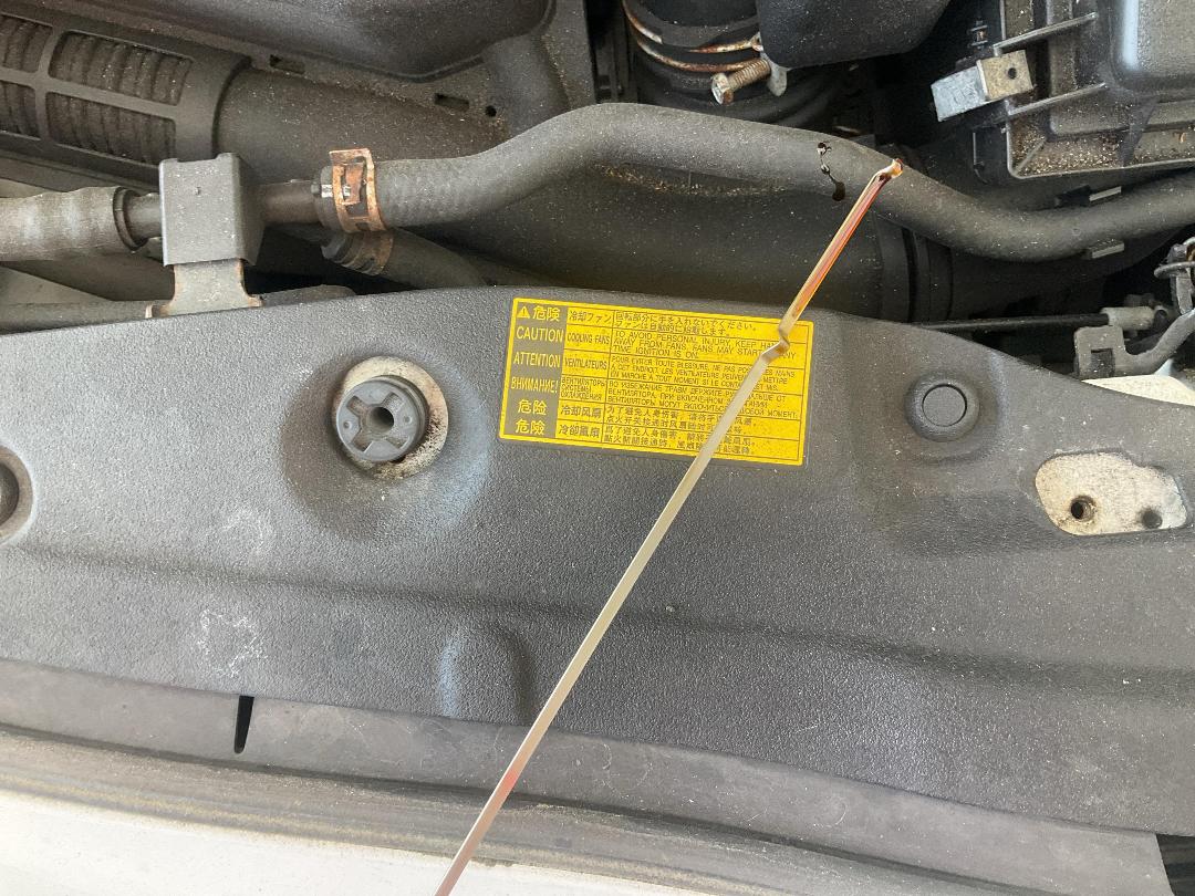 Photo '12' of Toyota Prius Hybrid