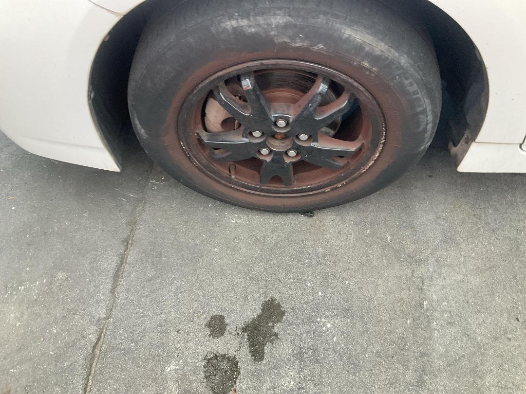 Photo '24' of Toyota Prius Hybrid