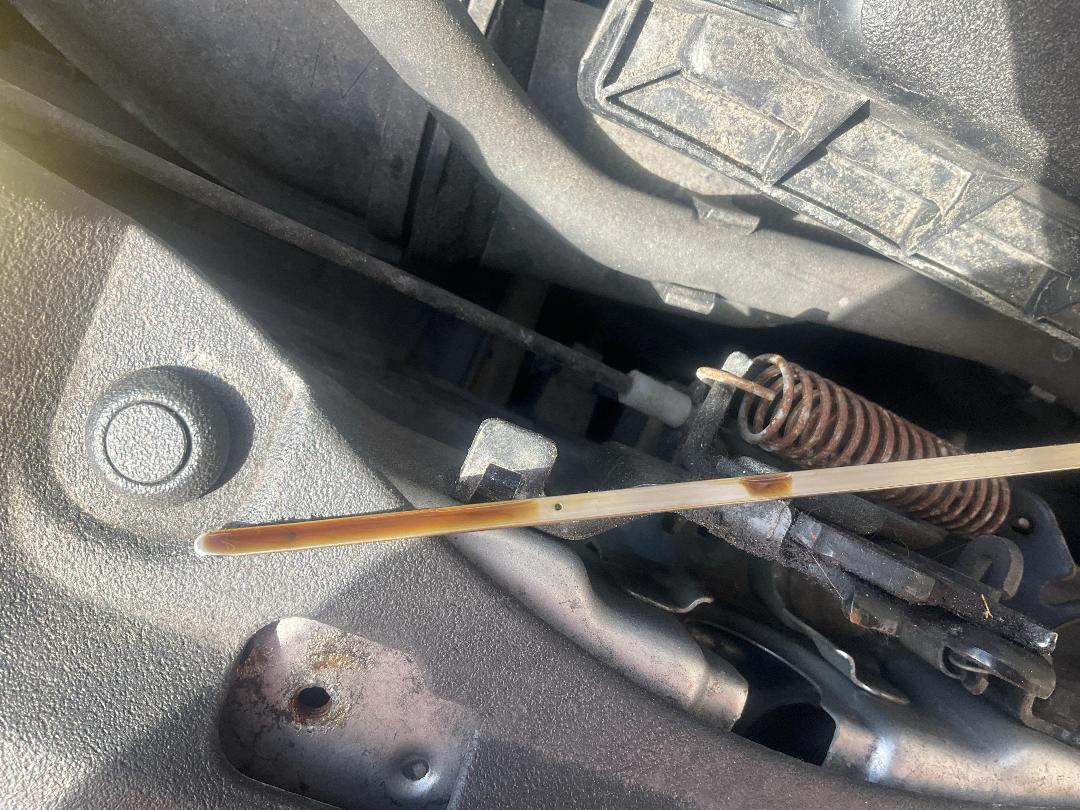 Photo '10' of Toyota Prius