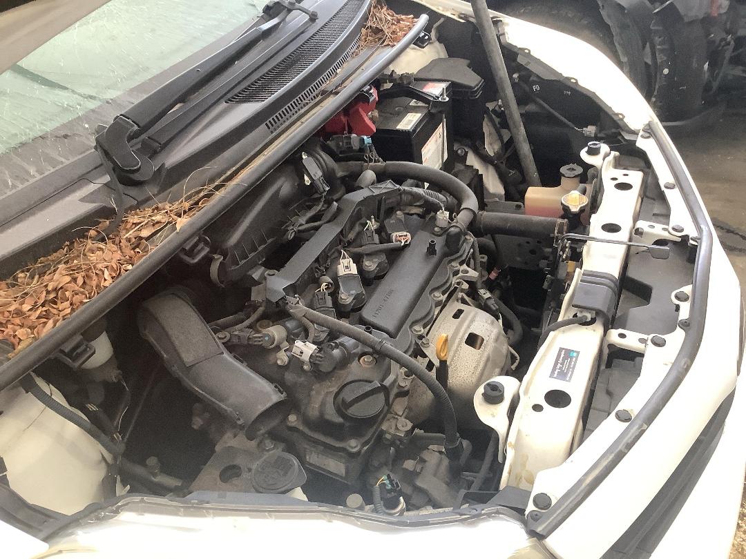 Photo '21' of Toyota Vitz Photo '21' of Toyota Vitz