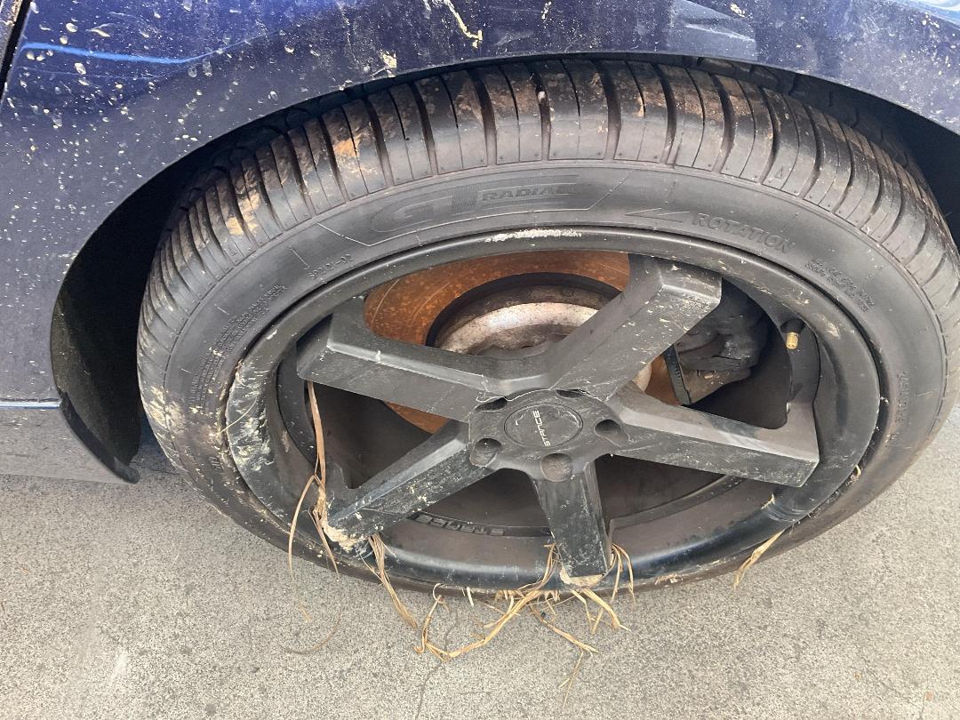 Photo '14' of BMW 640I