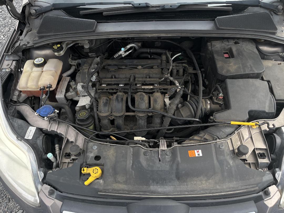 Photo '11' of Ford Focus Ambiente