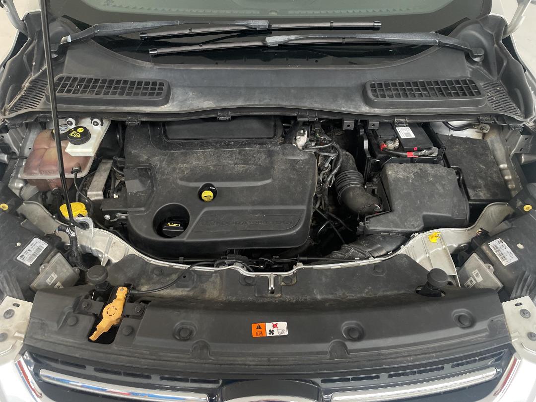 Photo '13' of Ford Kuga