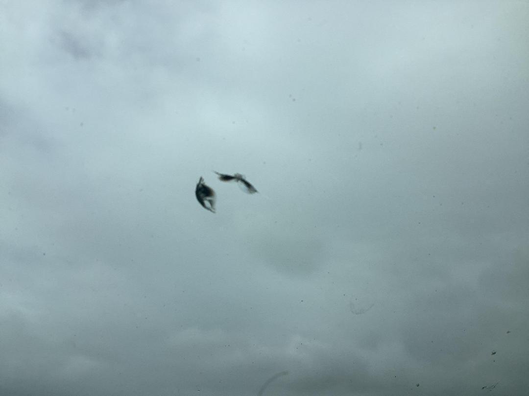 Photo '19' of Ford Mondeo Photo '19' of Ford Mondeo