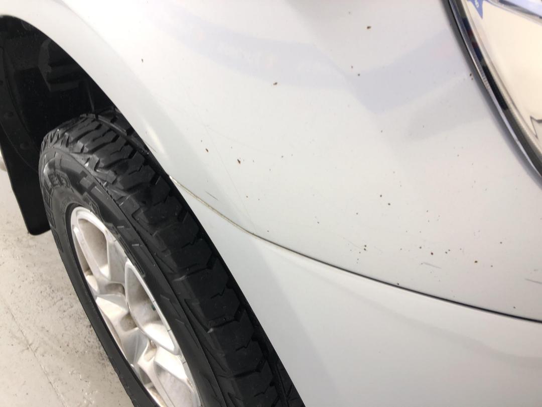 Photo '24' of Ford Ranger