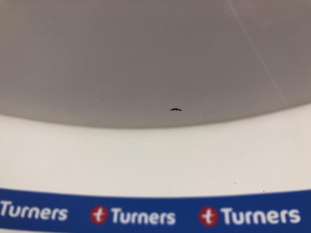 Photo '30' of Ford Ranger Photo '30' of Ford Ranger