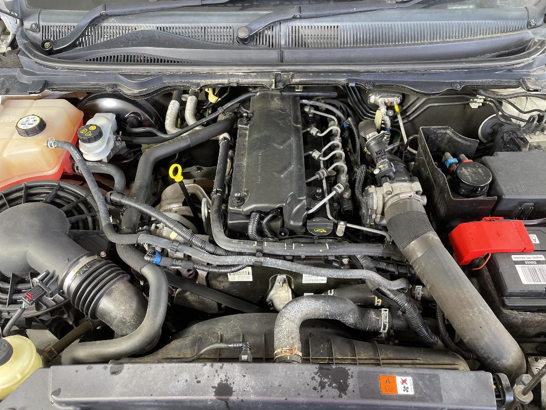 Photo '13' of Ford Ranger