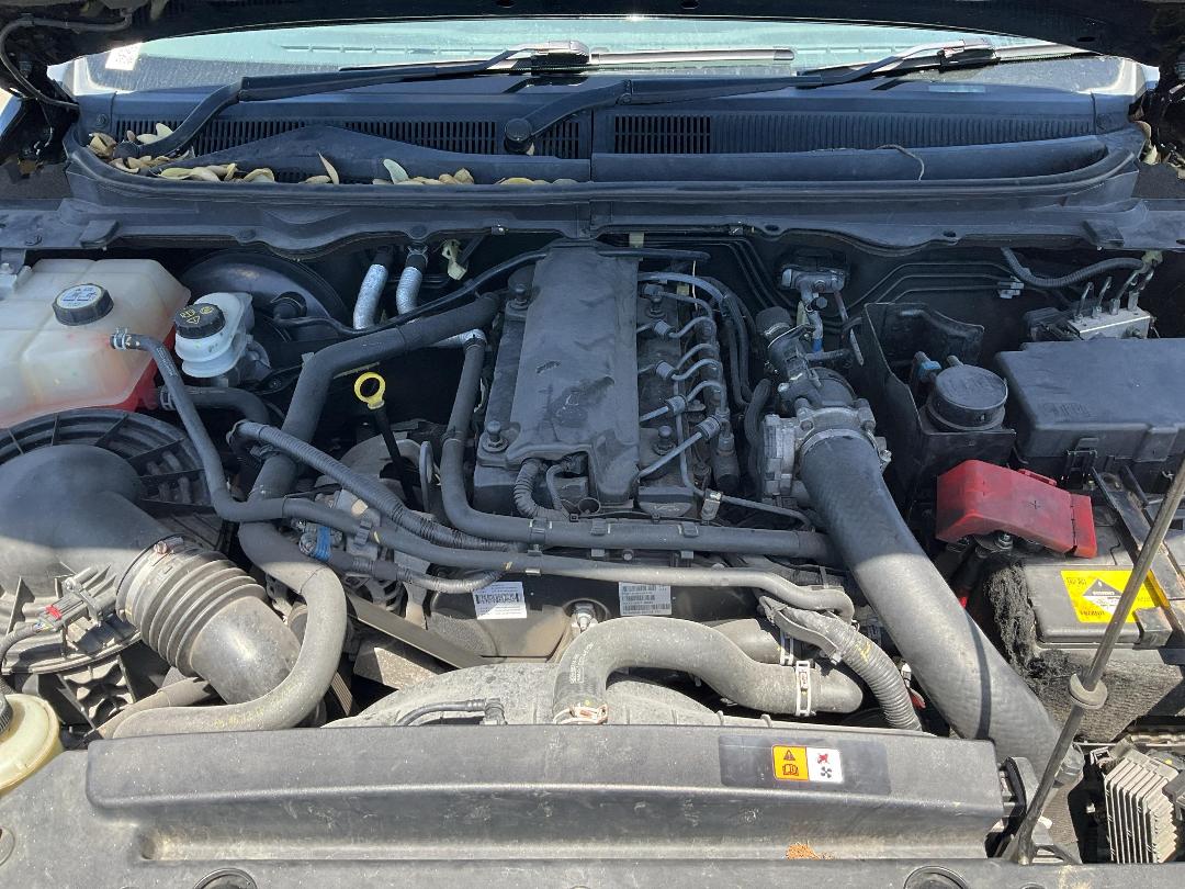 Photo '2' of Ford Ranger TD Wildtrak Photo '2' of Ford Ranger TD Wildtrak