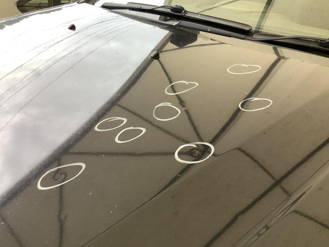 Photo '4' of Ford Ranger TD XLT DC W/SA Photo '4' of Ford Ranger TD XLT DC W/SA