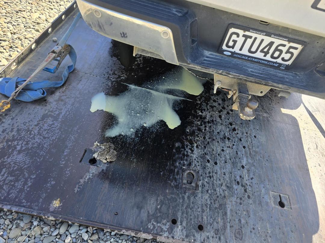 Photo '4' of Ford Ranger TD XLT DC W/S