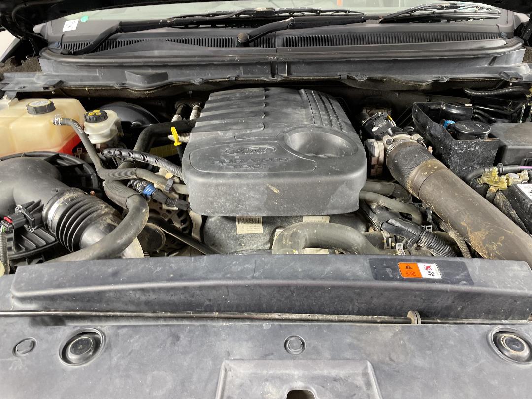 Photo '13' of Ford Ranger Photo '13' of Ford Ranger