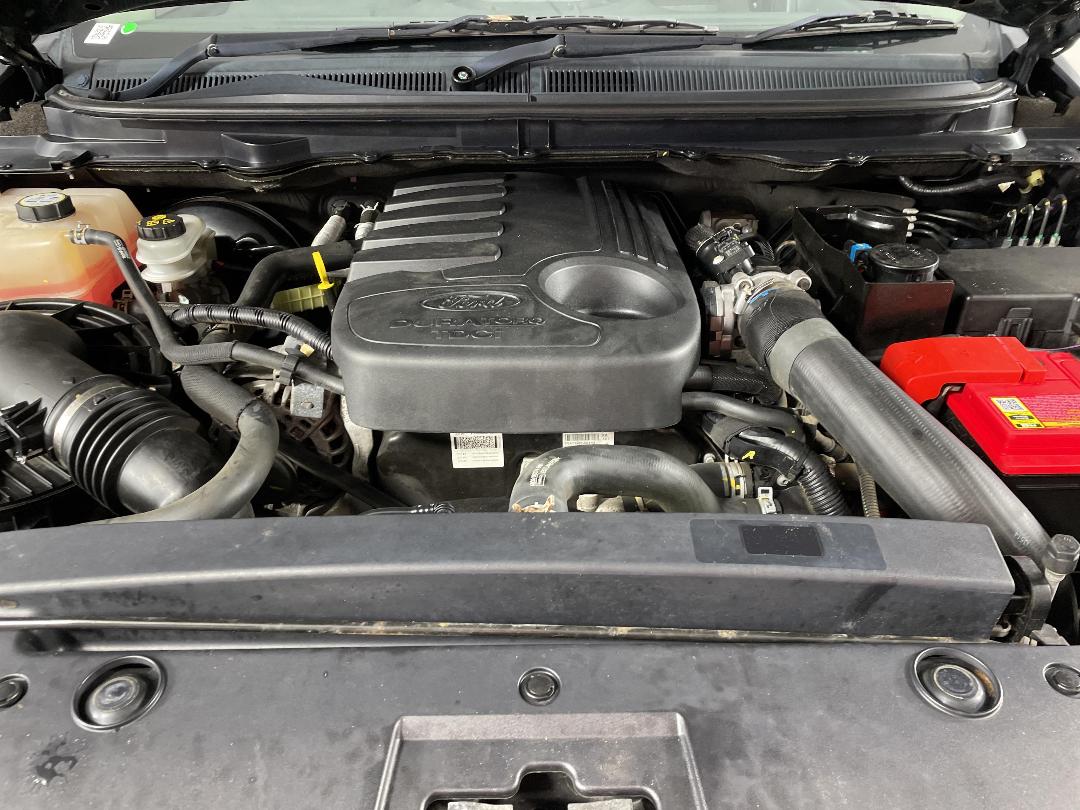 Photo '13' of Ford Ranger Photo '13' of Ford Ranger