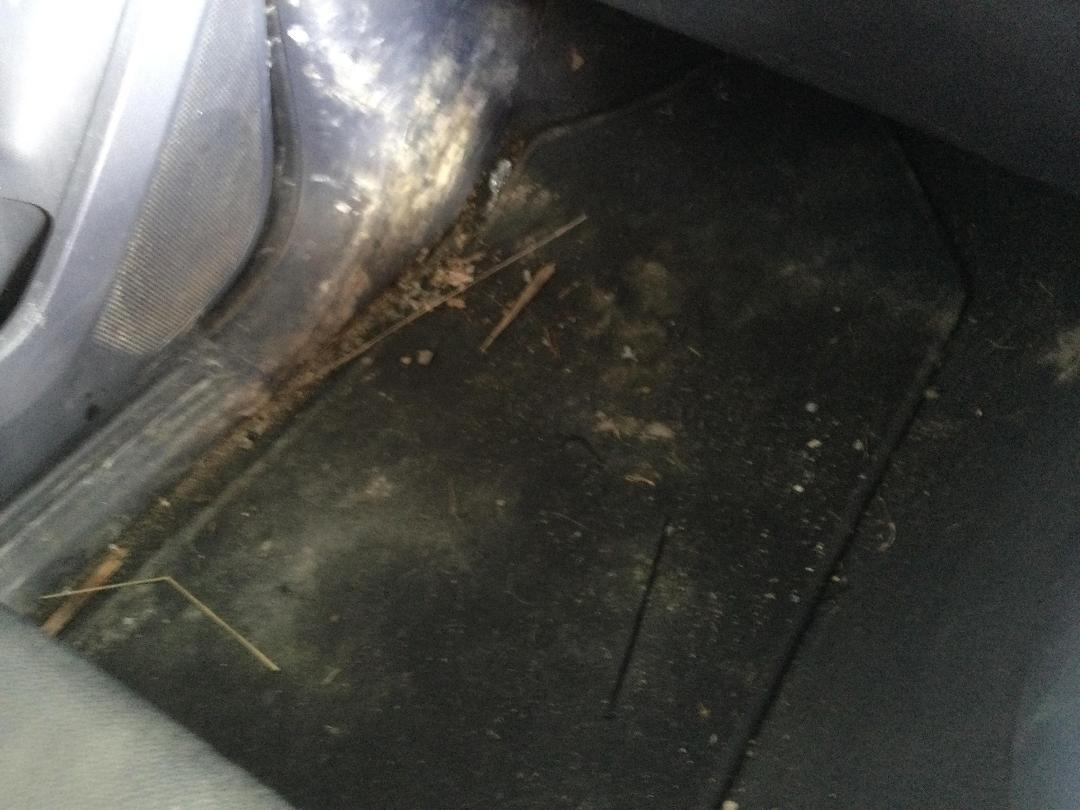 Photo '11' of Ford Ranger 3.2TD XLT DC