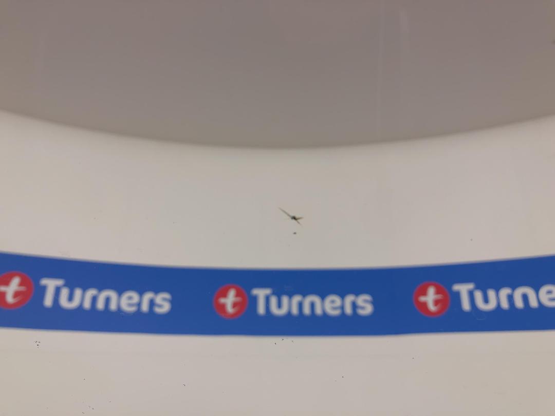 Photo '25' of Ford Territory