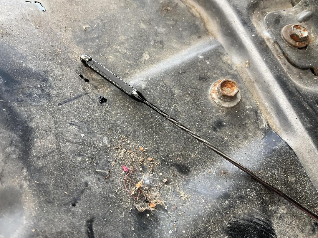 Photo '18' of Holden Colorado LT DC PU