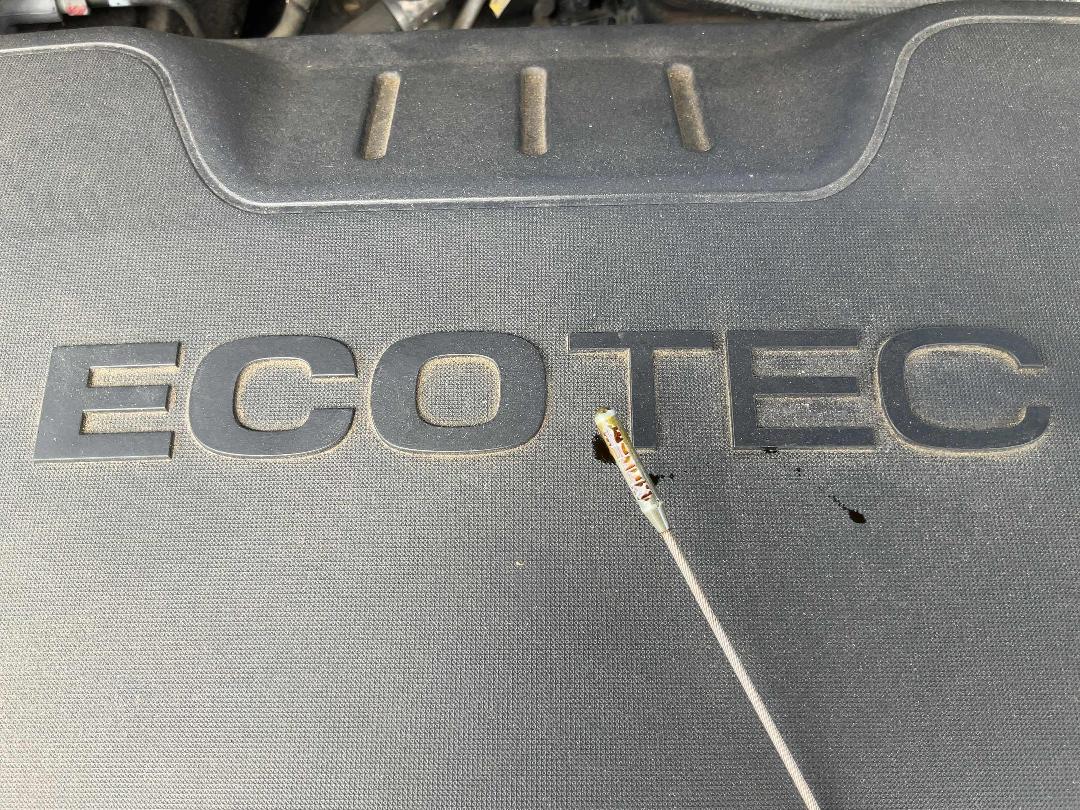 Photo '13' of Holden Malibu CDX