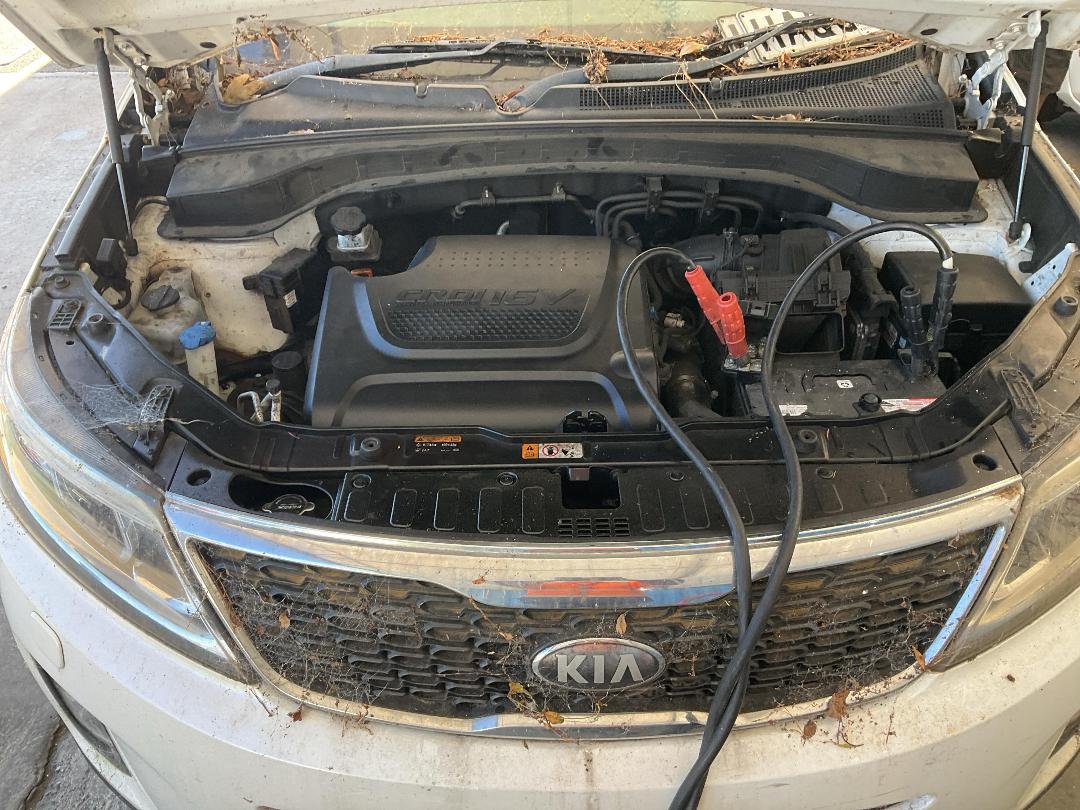 Photo '10' of KIA Sorento