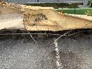 Thumbnail '21' of Krone 3.6m Hay Mower Other Machine