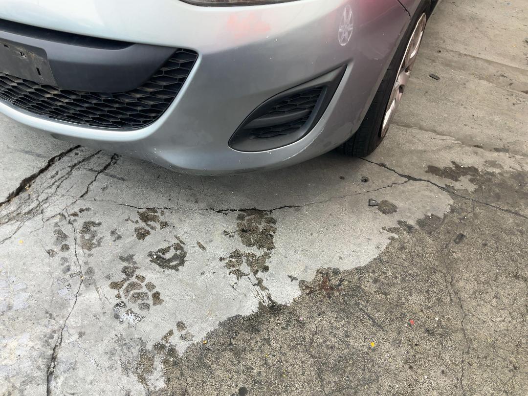 Photo '11' of Mazda Demio