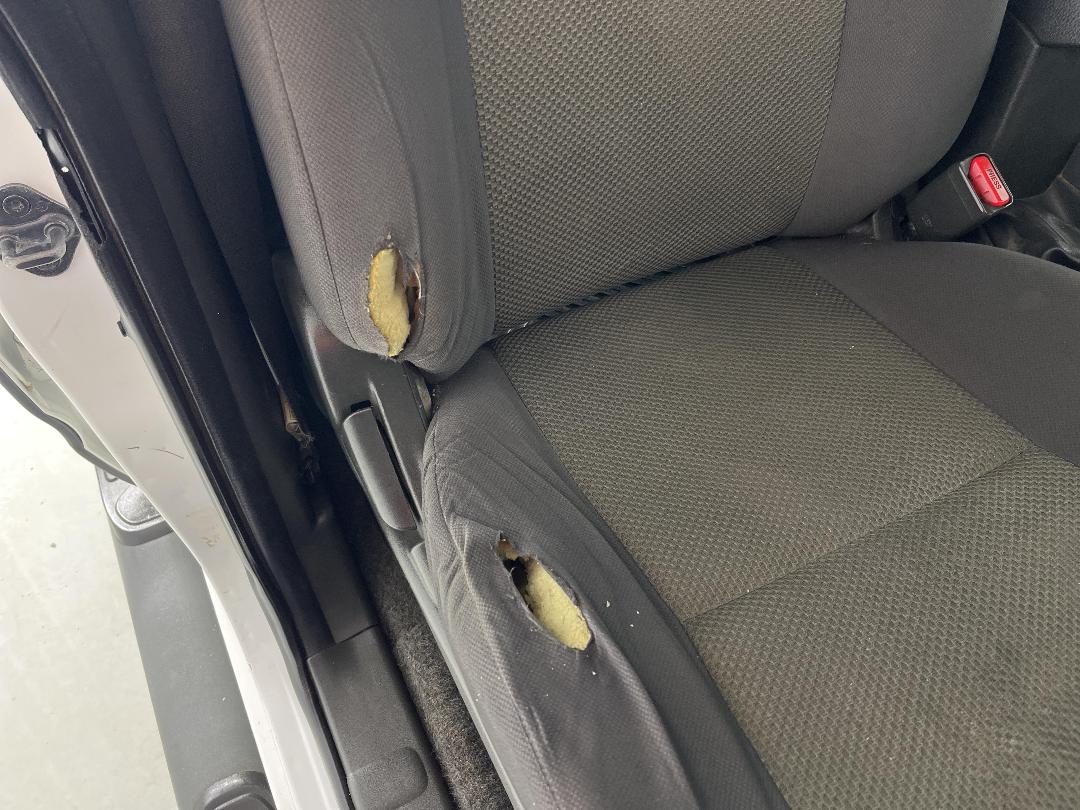 Photo '23' of Nissan Navara