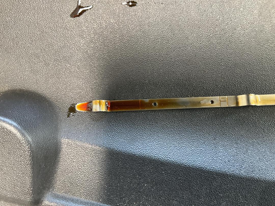 Photo '20' of Nissan Sylphy Photo '20' of Nissan Sylphy