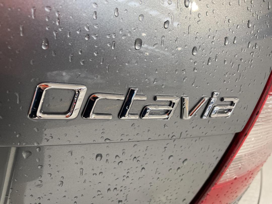 Photo '37' of Skoda Octavia Photo '37' of Skoda Octavia