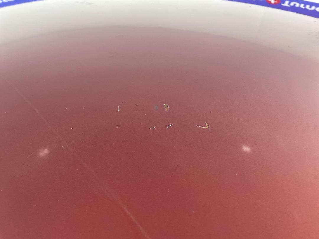 Photo '37' of Subaru Impreza