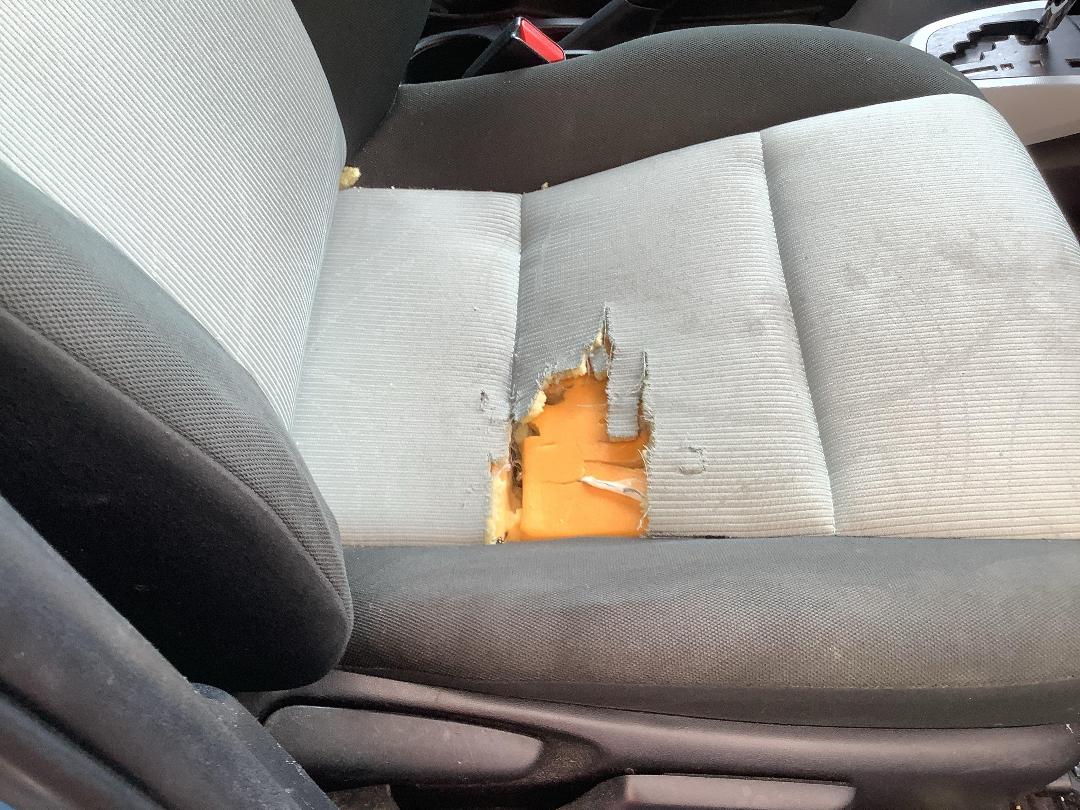 Photo '8' of Toyota Aqua Photo '8' of Toyota Aqua