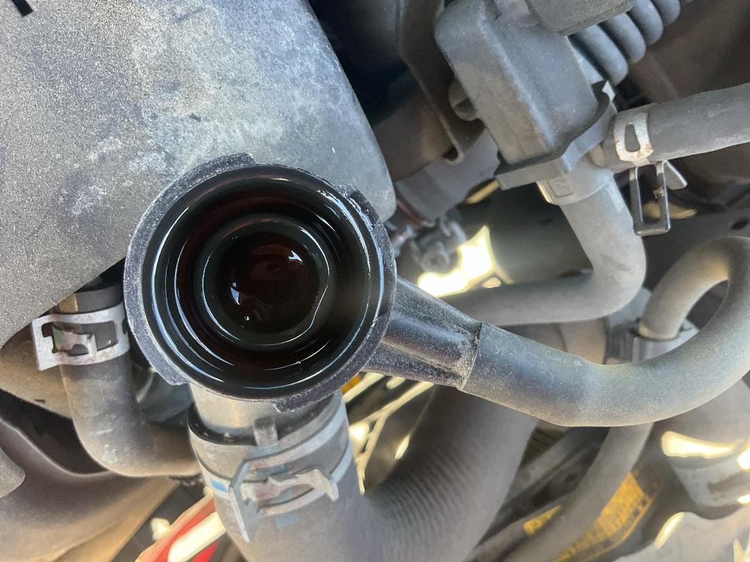 Photo '8' of Toyota Corolla Fielder