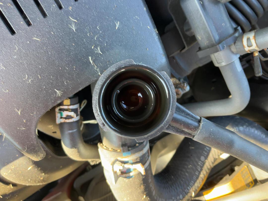 Photo '9' of Toyota Spade