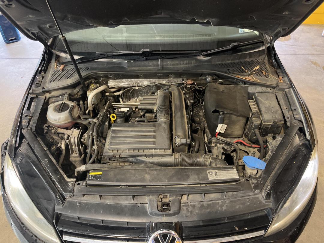 Photo '11' of Volkswagen Golf