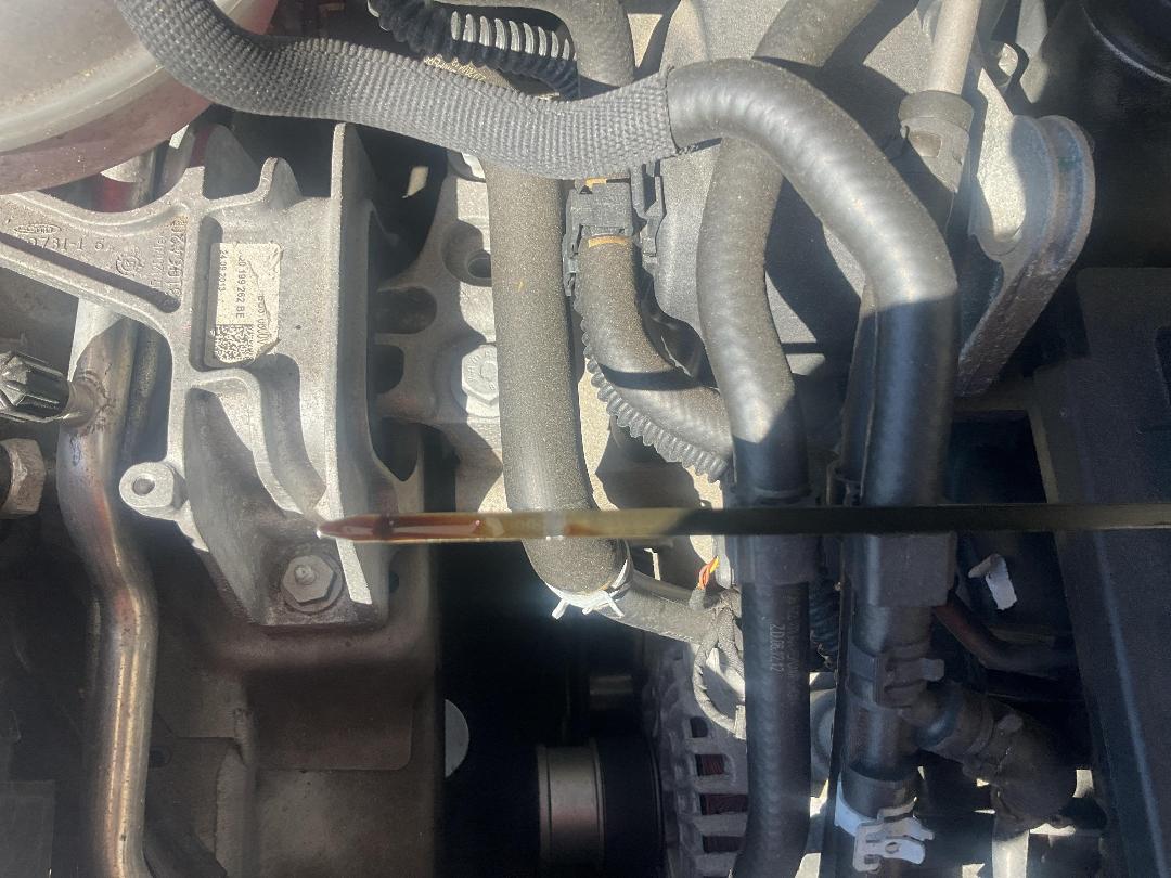 Photo '14' of Volkswagen Golf TSI Bluemotion