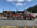Thumbnail '3' of WESTERN STAR 2013 PATCHELL Logger