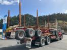 Thumbnail '4' of WESTERN STAR 2013 PATCHELL Logger