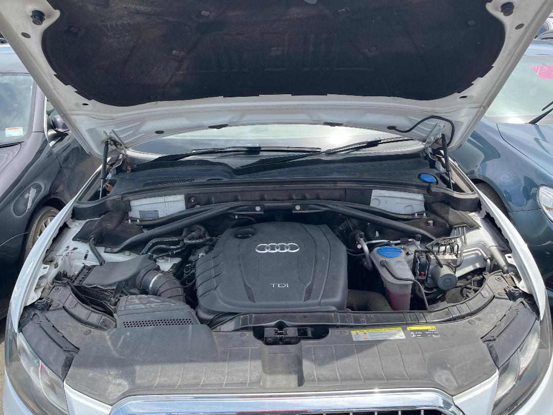 Photo '15' of Audi Q5 TDI Q S Photo '15' of Audi Q5 TDI Q S