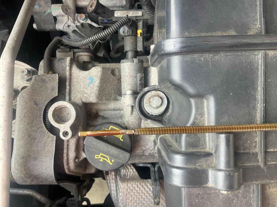 Photo '11' of Fiat 500