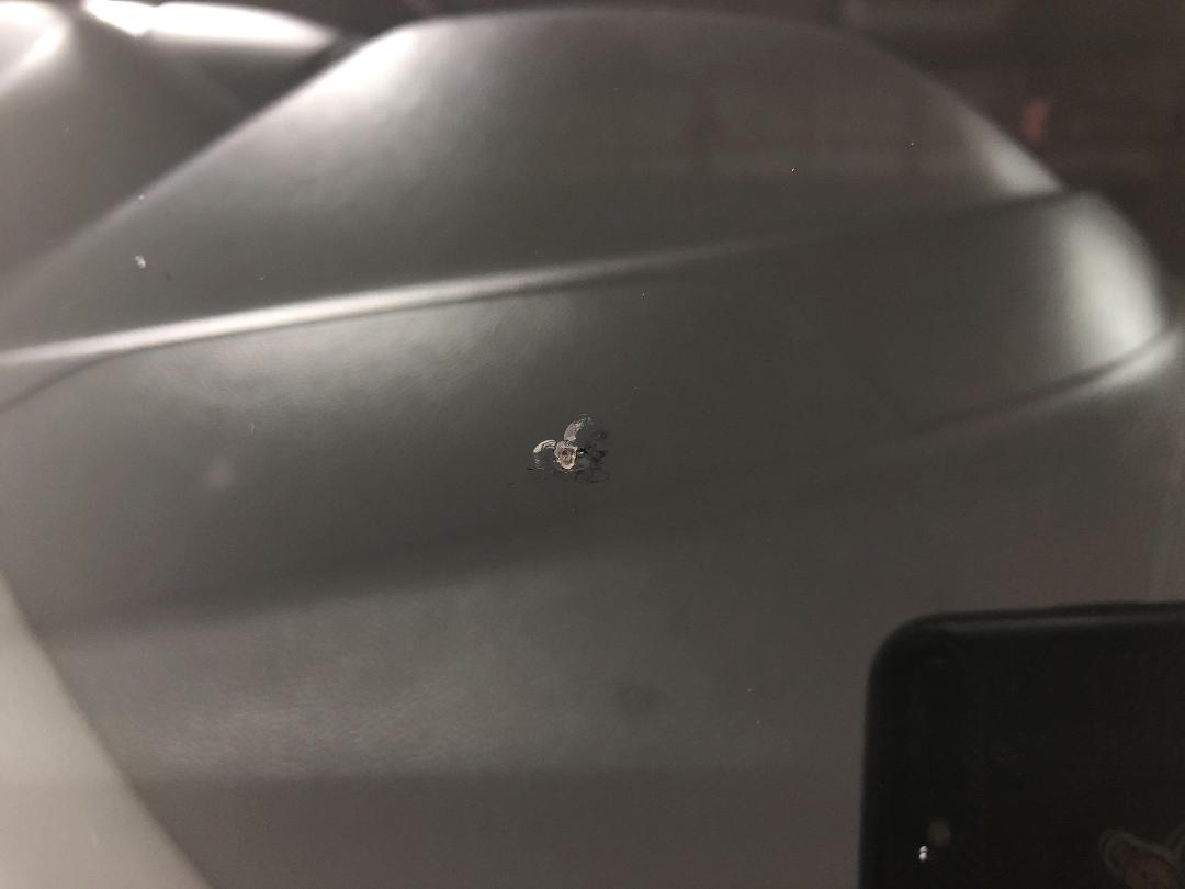 Photo '24' of Ford Focus Photo '24' of Ford Focus