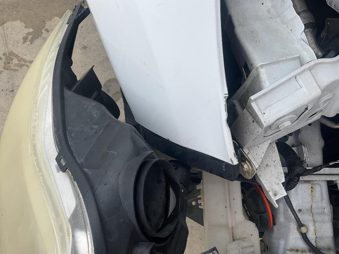 Photo '20' of Ford Focus Trend