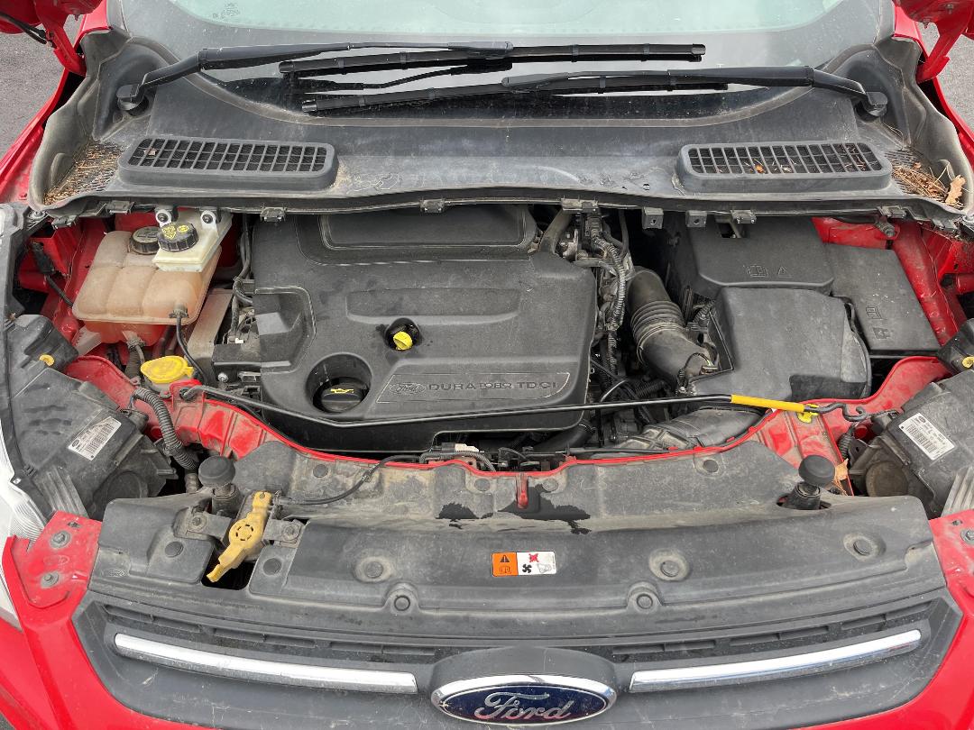 Photo '12' of Ford Kuga Trend Diesel Photo '12' of Ford Kuga Trend Diesel