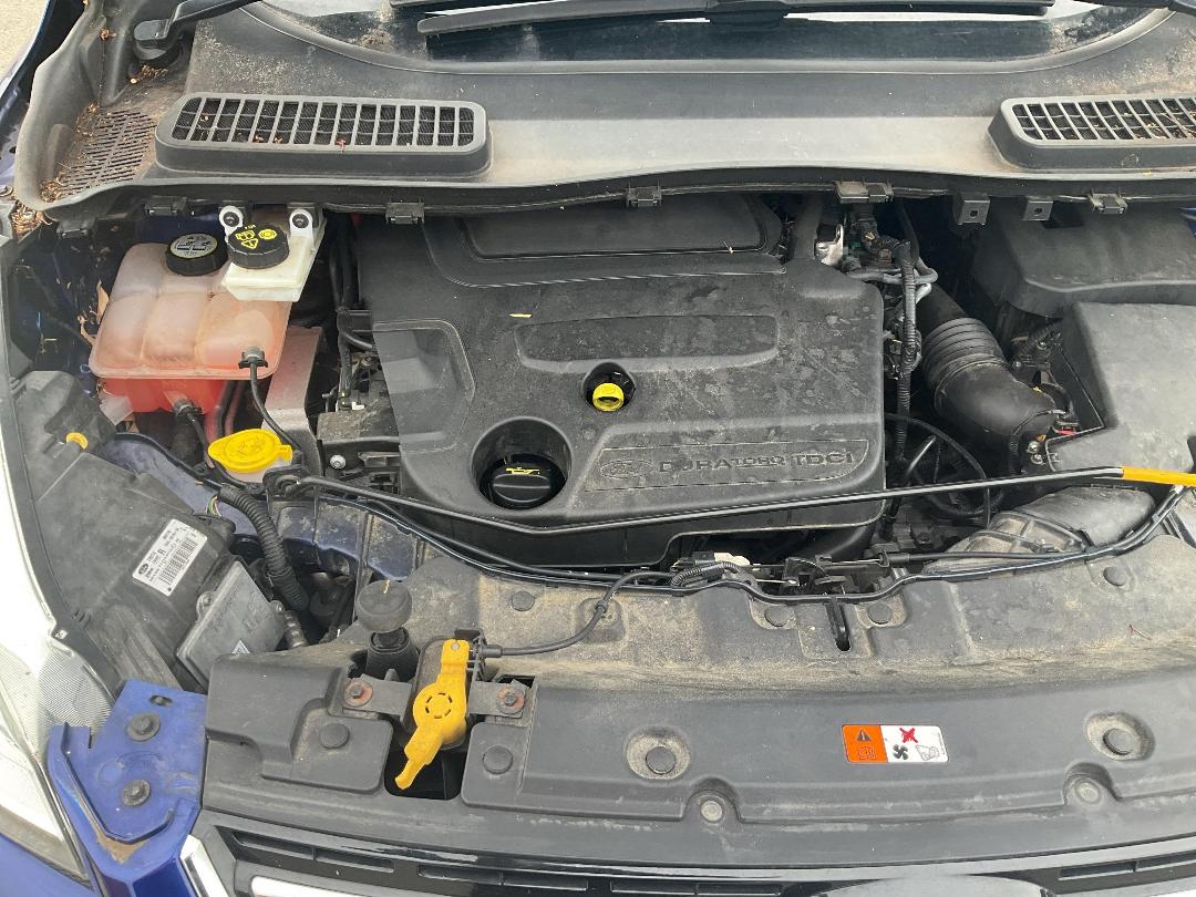 Photo '8' of Ford Kuga Titanium Diesel