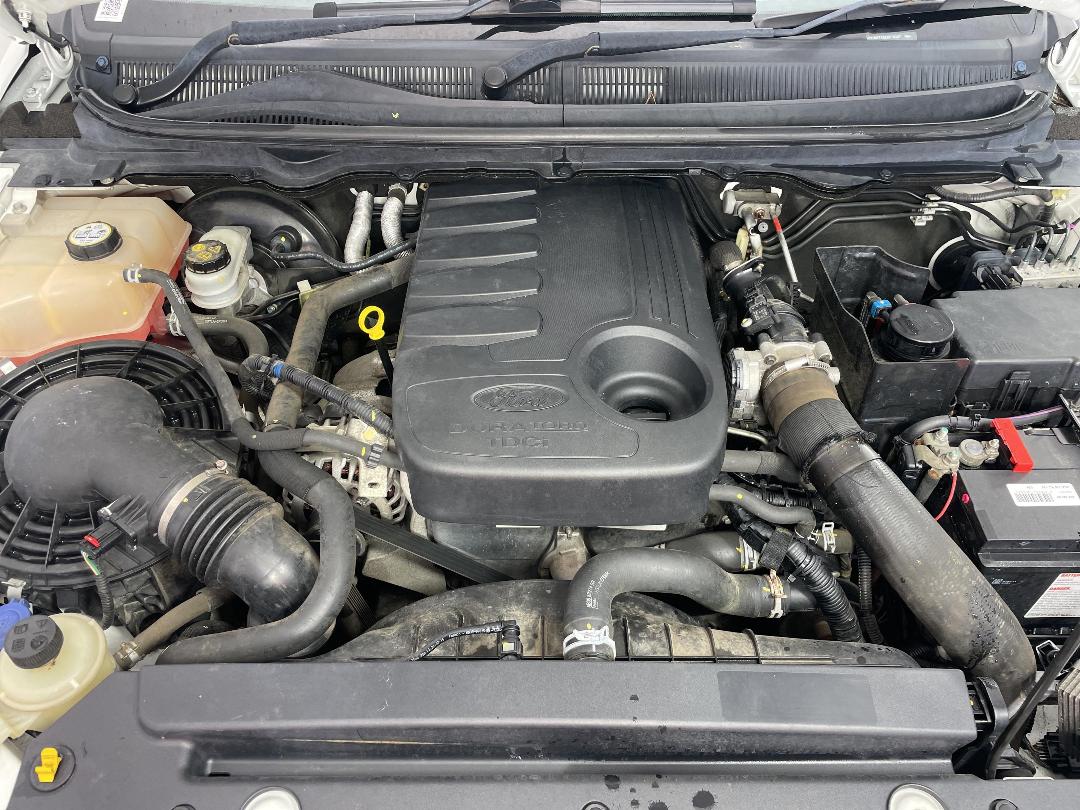 Photo '13' of Ford Ranger