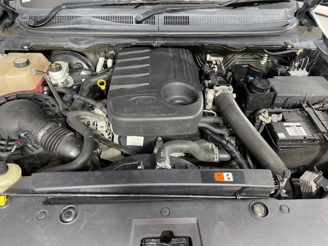 Photo '13' of Ford Ranger