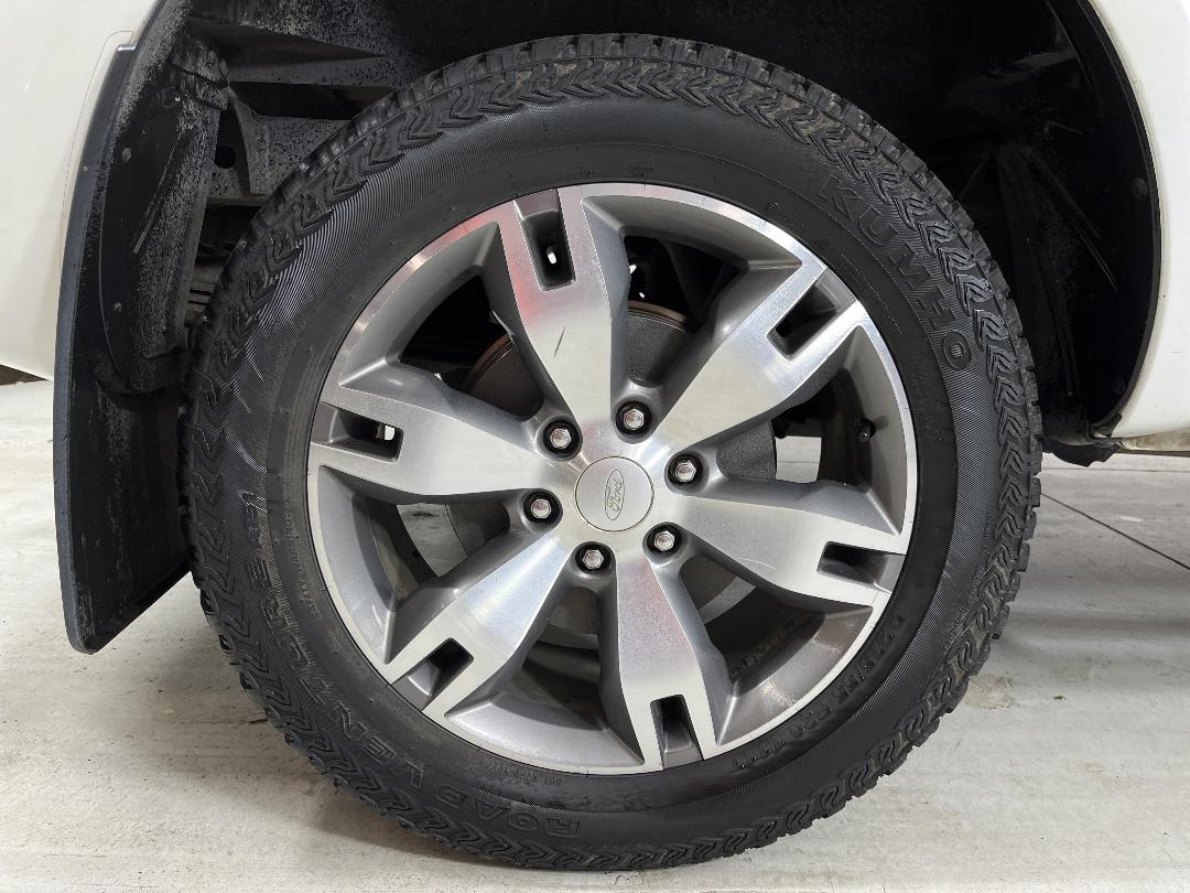 Photo '12' of Ford Ranger