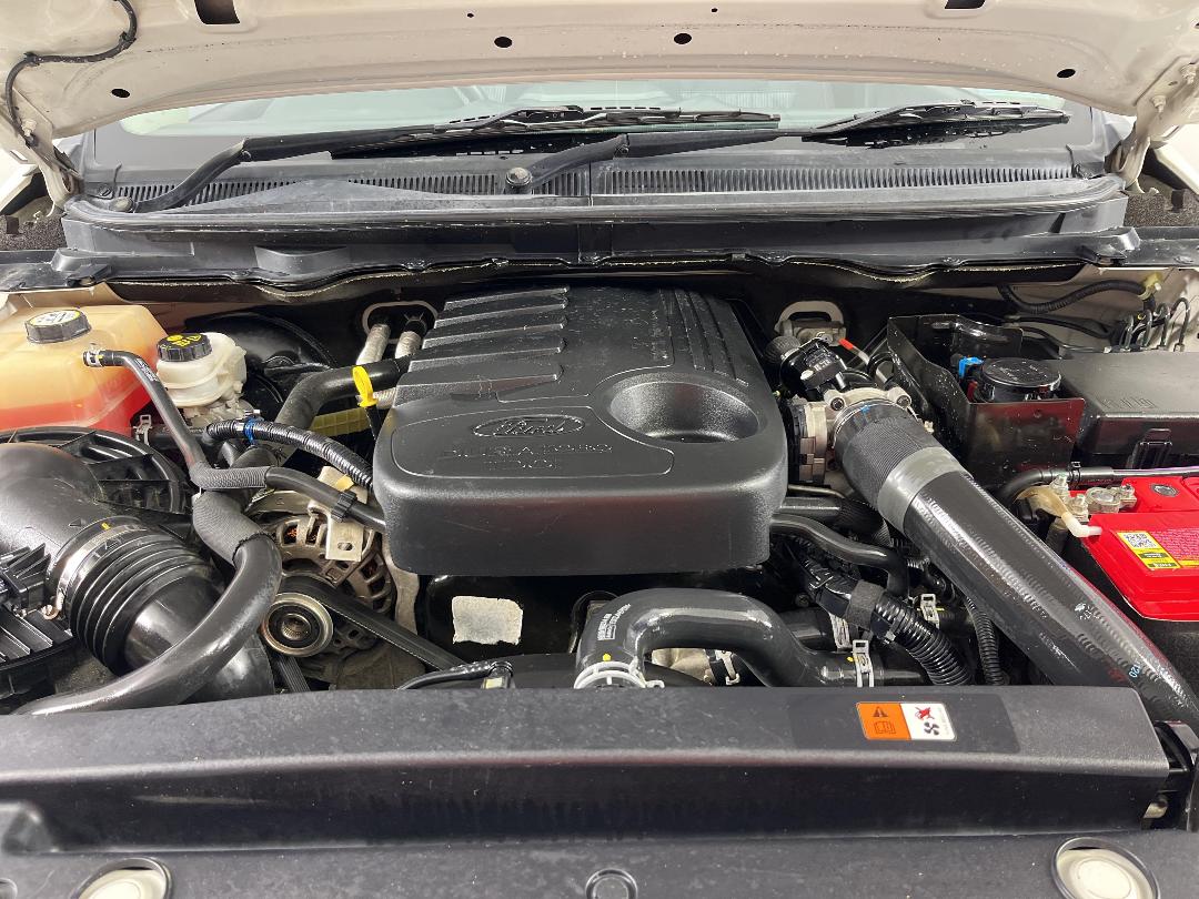 Photo '13' of Ford Ranger