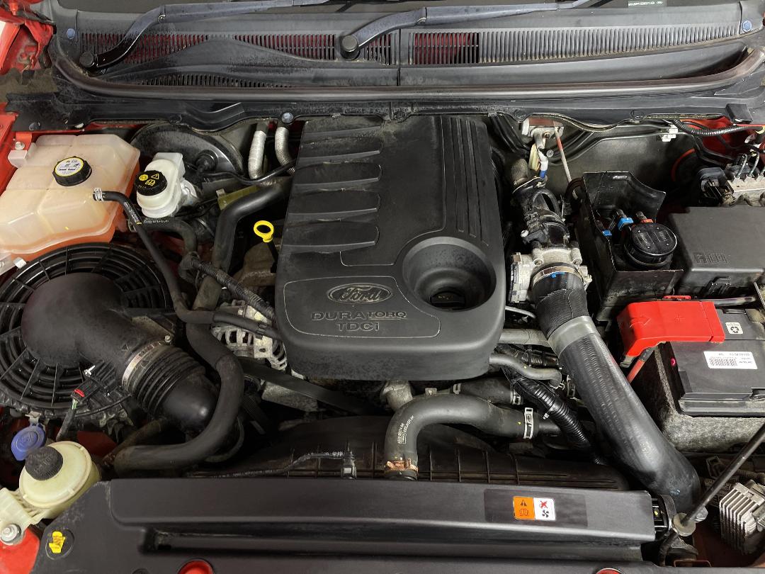 Photo '13' of Ford Ranger