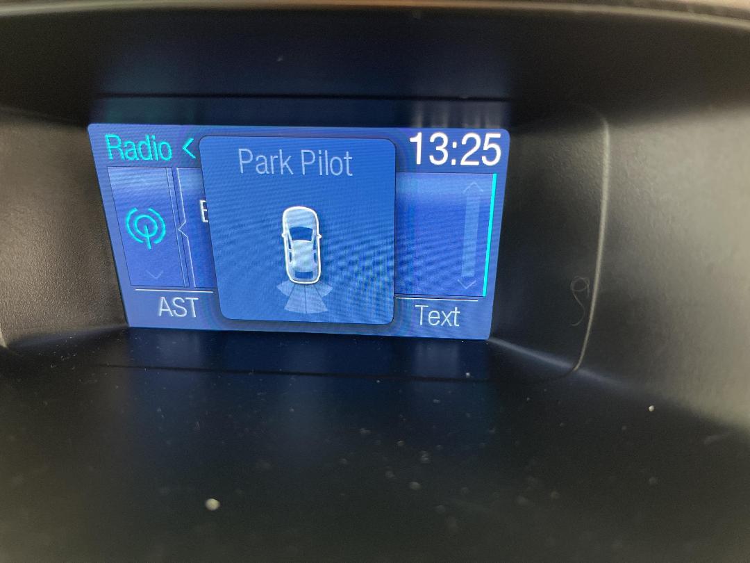 Photo '29' of Ford Ranger Photo '29' of Ford Ranger