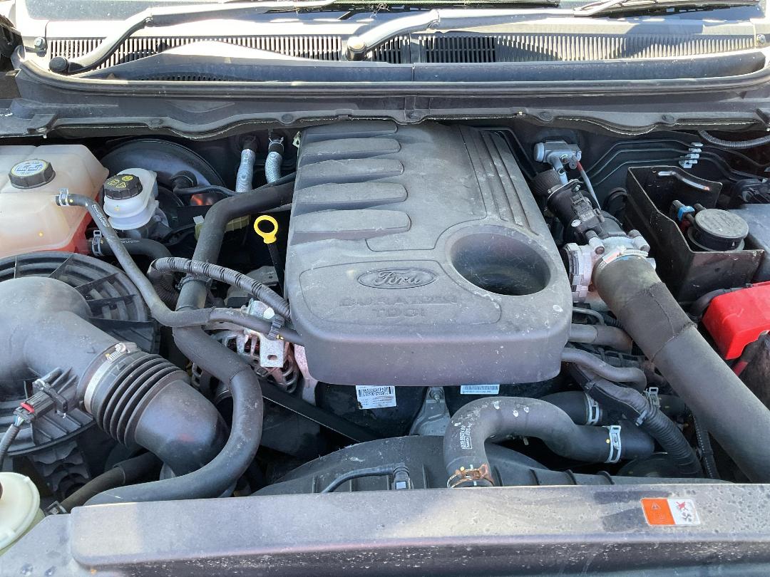 Photo '17' of Ford Ranger TD XLT DC W/SA