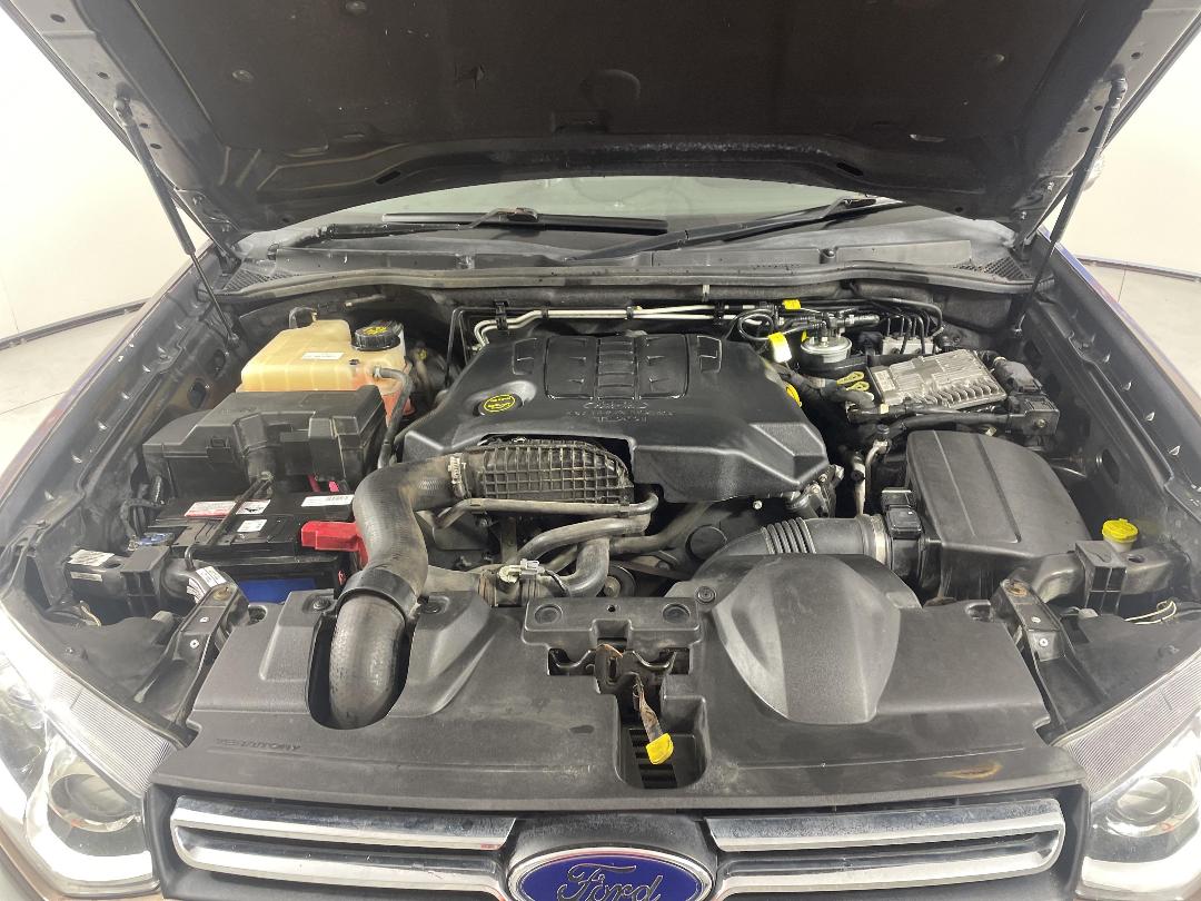 Photo '13' of Ford Territory