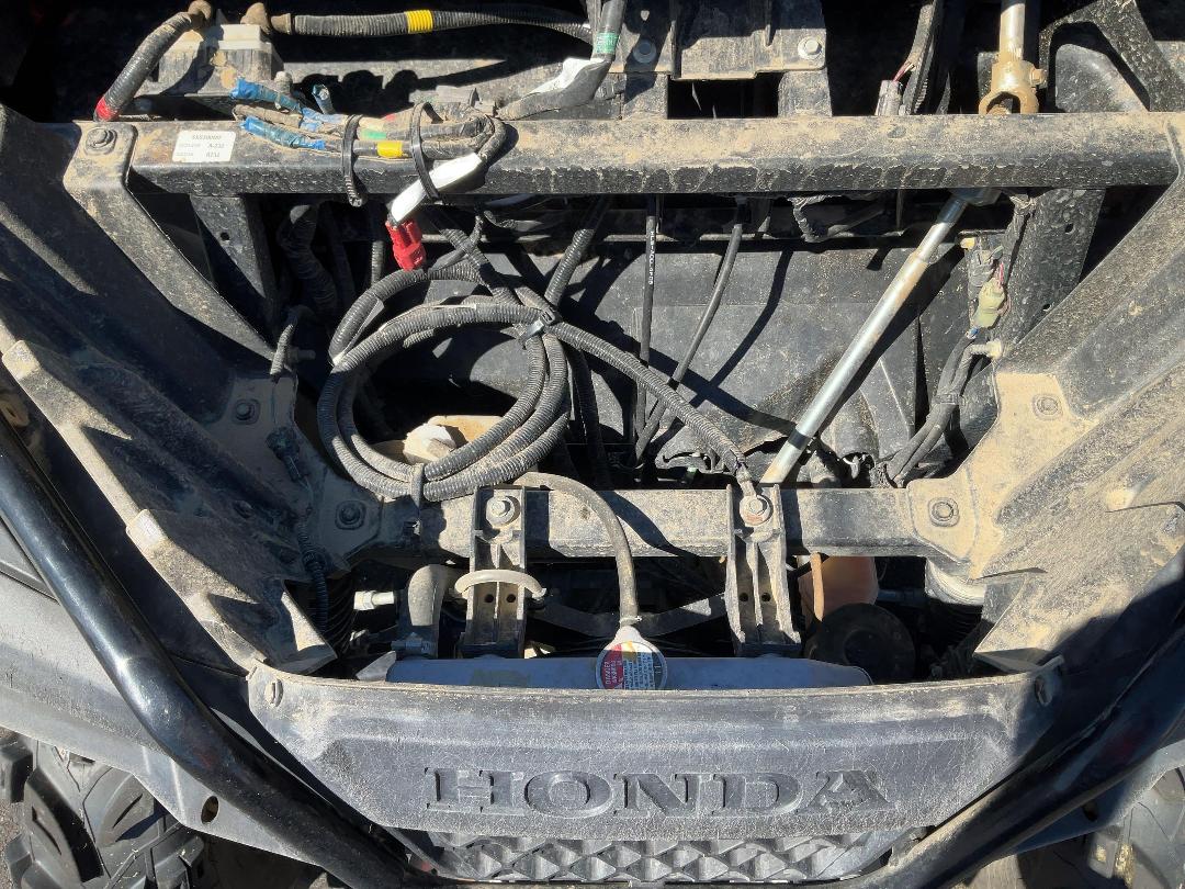 Photo '22' of Honda PIONEER 500