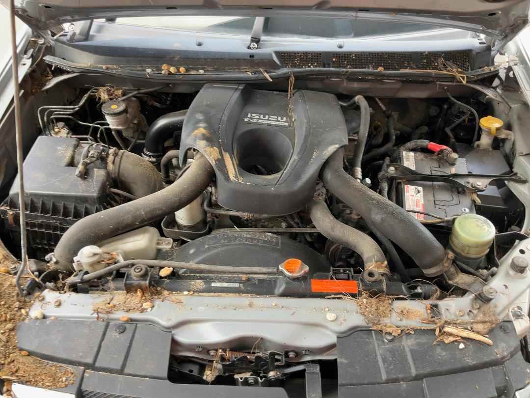 Photo '11' of Isuzu D-MAX LS DC